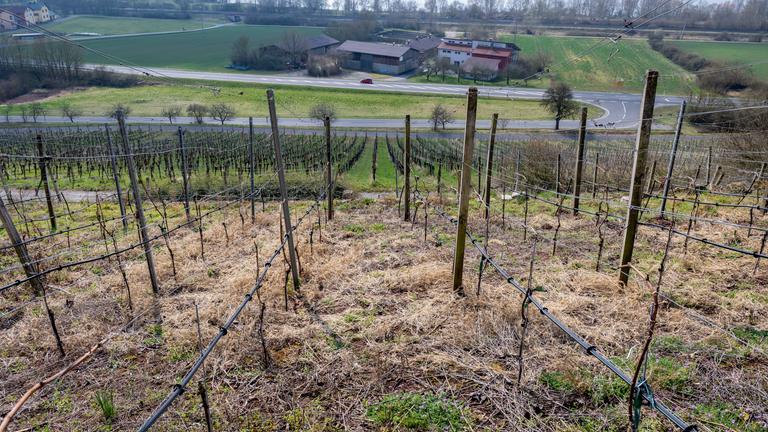 Trockenheit in der Landwirtschaft