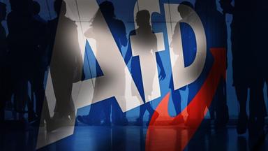 Themenbild: Waehlerwanderung -Zulauf der AfD ungebremst!