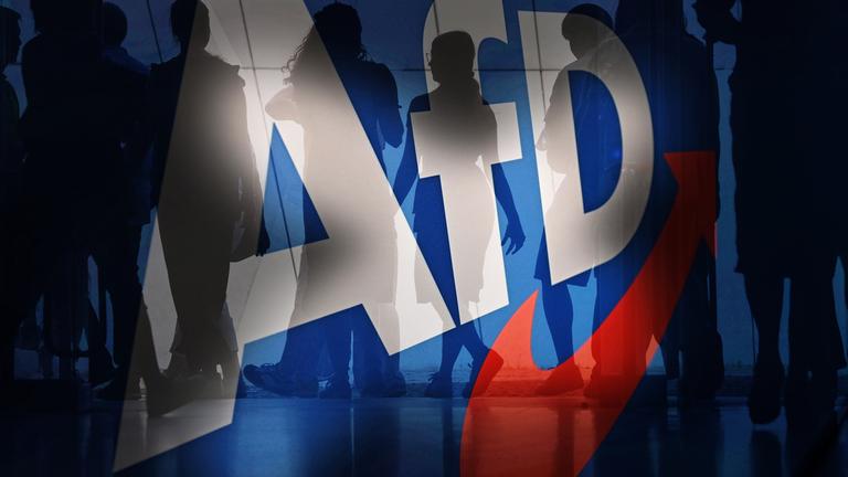 Themenbild: Waehlerwanderung -Zulauf der AfD ungebremst!