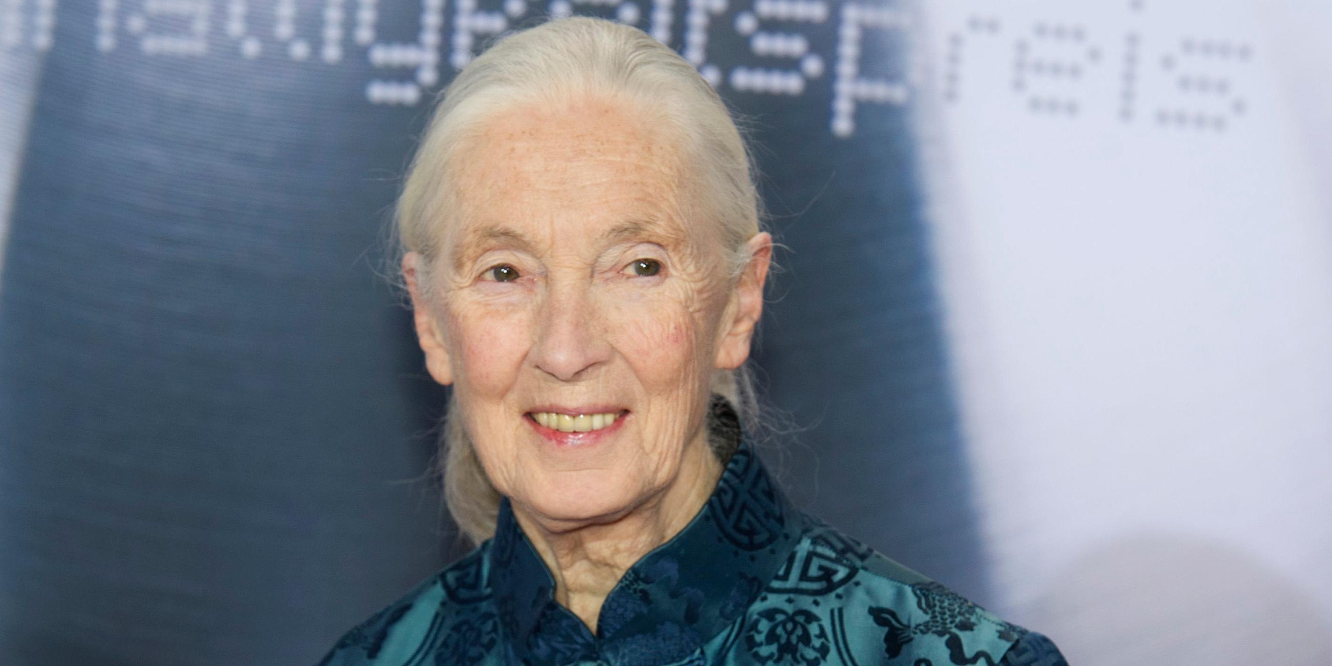 Jane Goodall gestorben