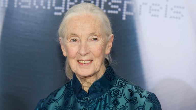 Jane Goodall gestorben