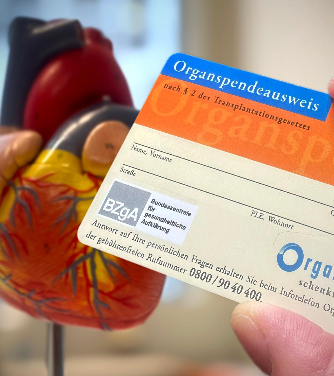 Organspendeausweis vor Herzatrappe