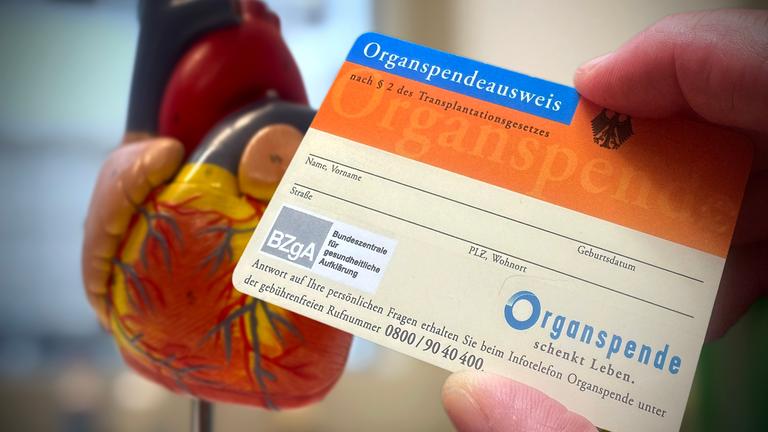 Organspendeausweis vor Herzatrappe