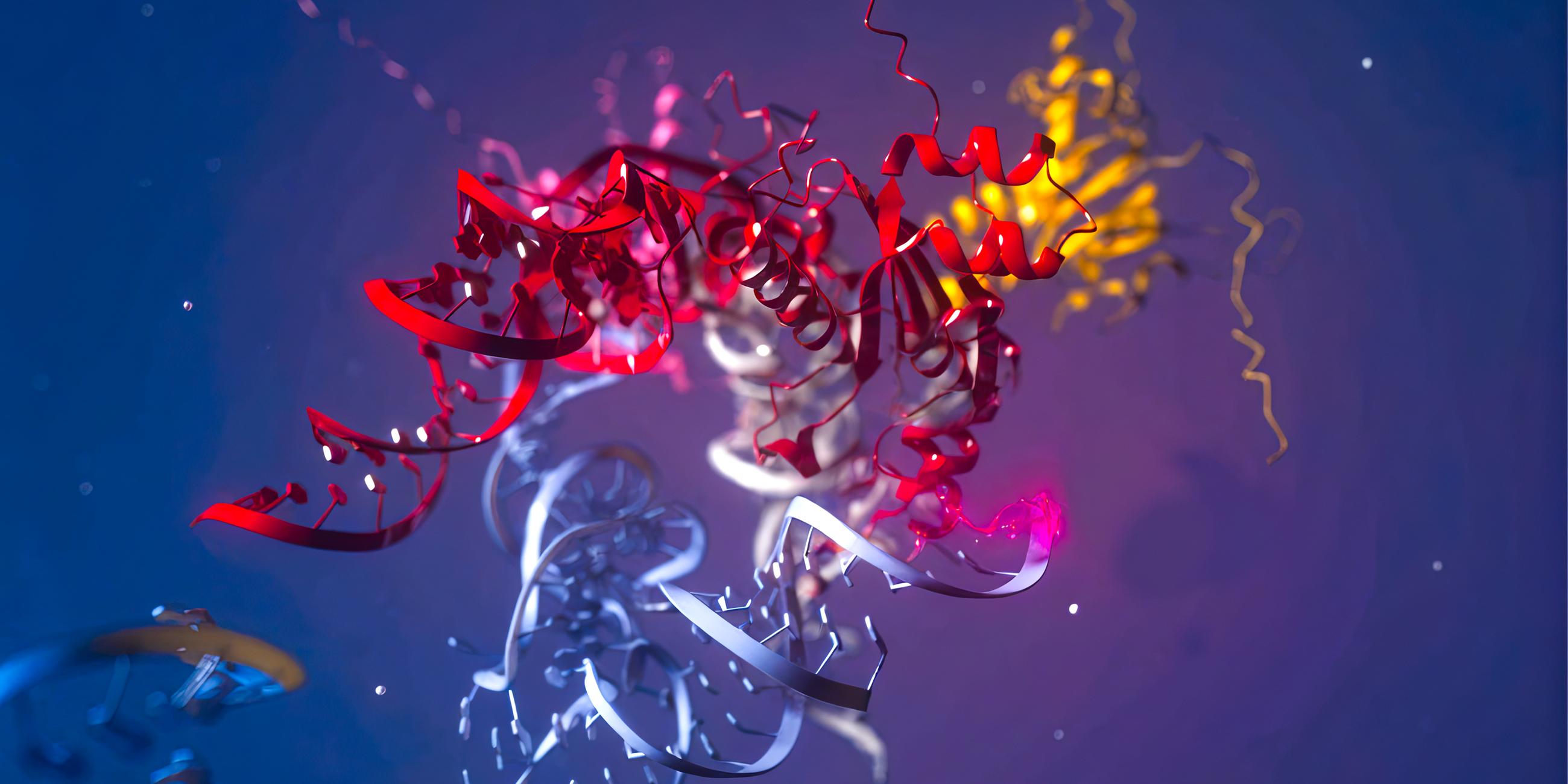 Grafische Darstellung eines Proteins, bestehend aus miteinander verschlungenen Aminosäureketten.