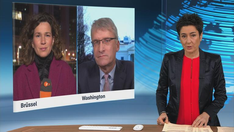 SGS Hayali Schaefers Thevessen