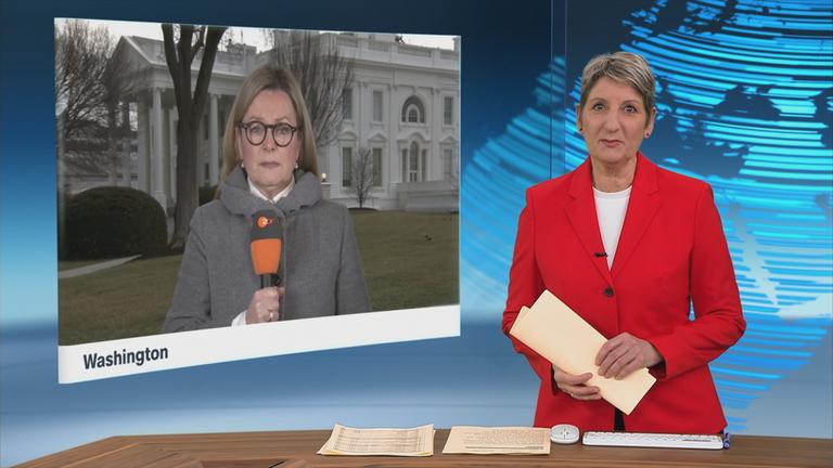 sgs - bates gellinek