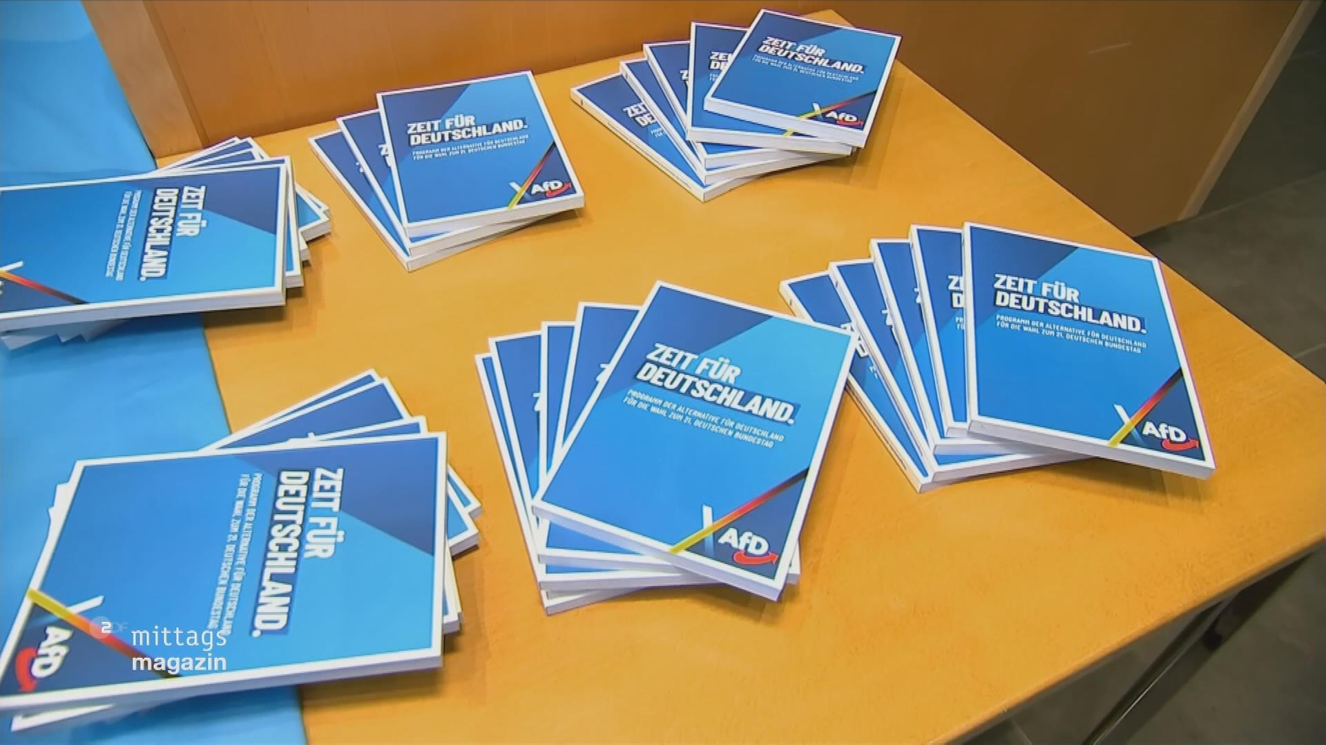 aufgefächerte AfD-Parteiprogramme auf einem Tisch