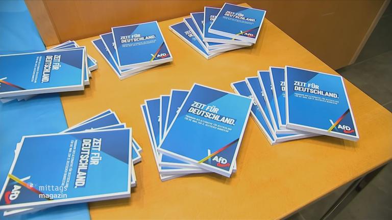 aufgefächerte AfD-Parteiprogramme auf einem Tisch