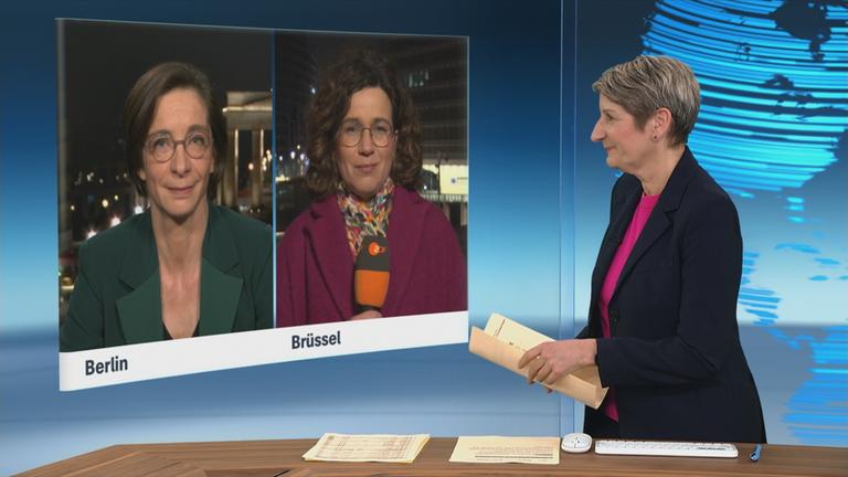 SGS Zimmermann Schaefers