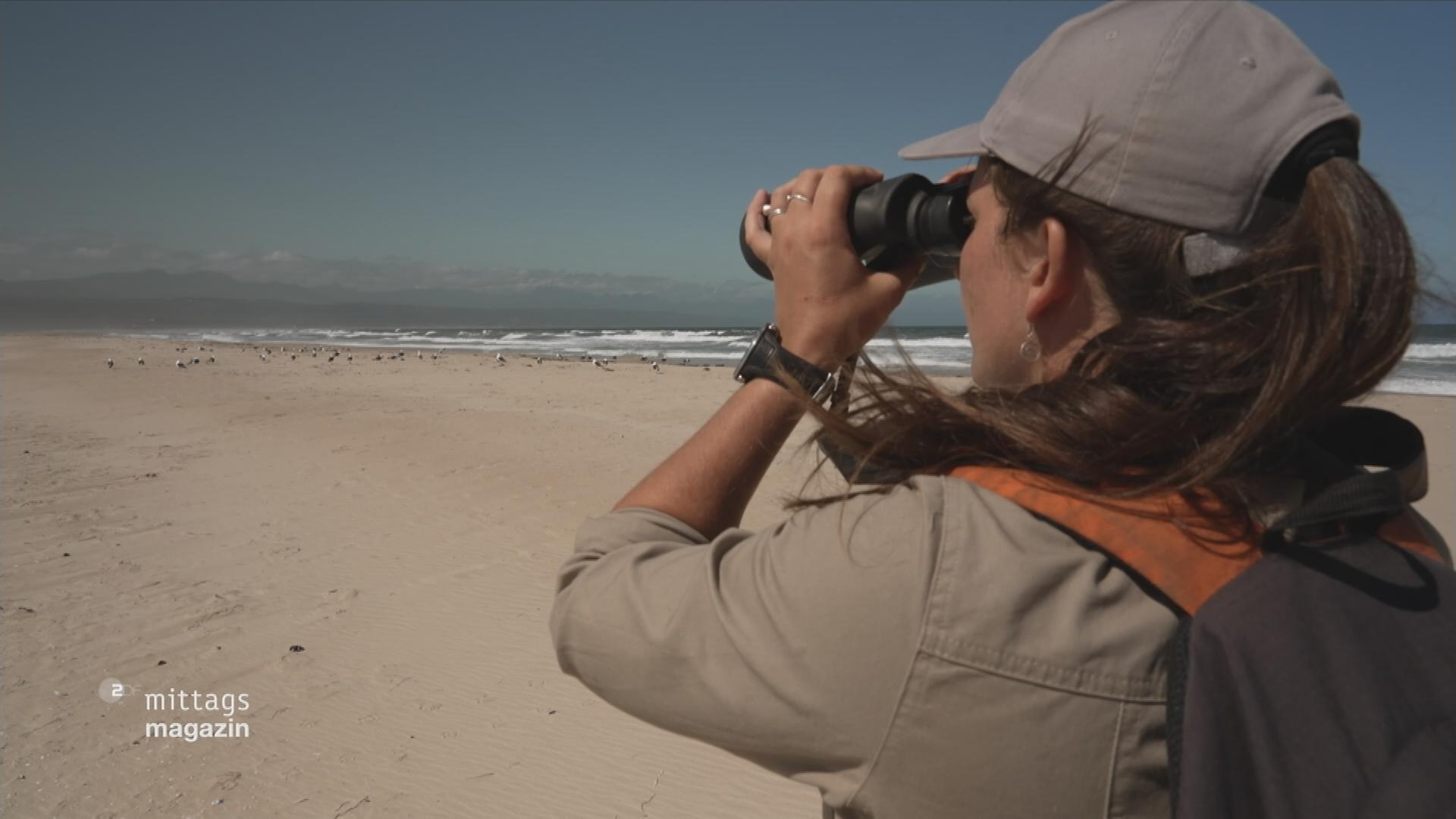 Meeresrangerin Chanel Visser beobachtet durch ein Fernglas Vögel an einem Strand in Südafrika