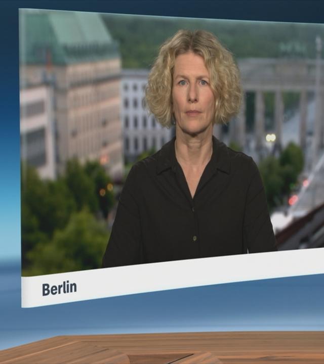 SGS-Gellinek-Fischer