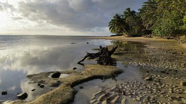 Paradiese im Pazifik wie Tuvalu und Fidschi sind bedroht. Globale Lösungen werden auf der Hamburger Nachhaltigkeitskonferenz diskutiert.