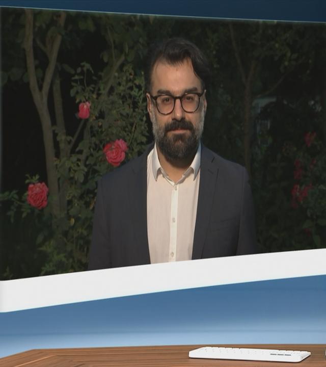 sgs - nejad hayali