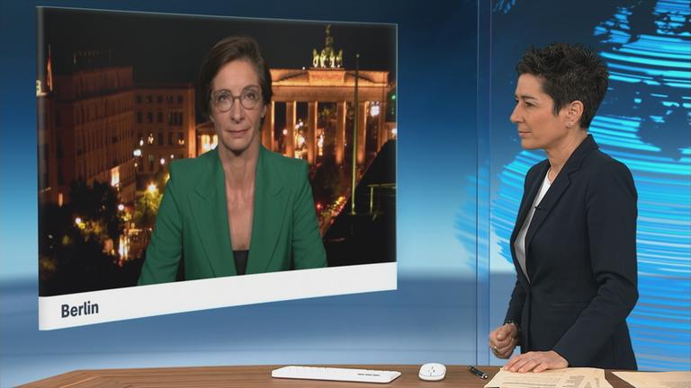 SGS Zimmermann Hayali