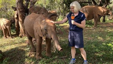 ZDF-Mima-Reporterin Katja Fuchs mit Elefantenbaby Wamata