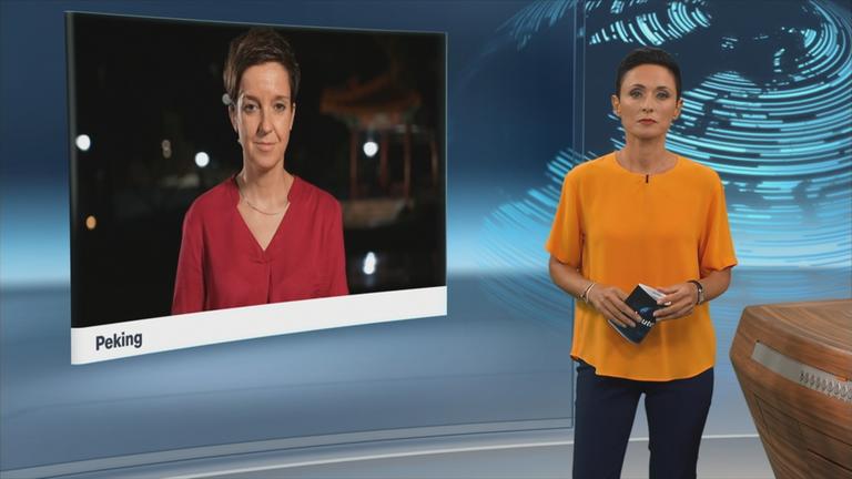 SGS Goekdemir Steimer