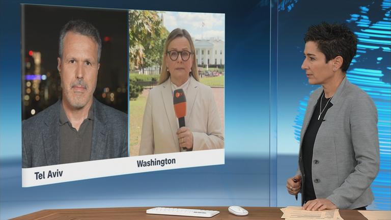 SGS Reichart Bates Hayali