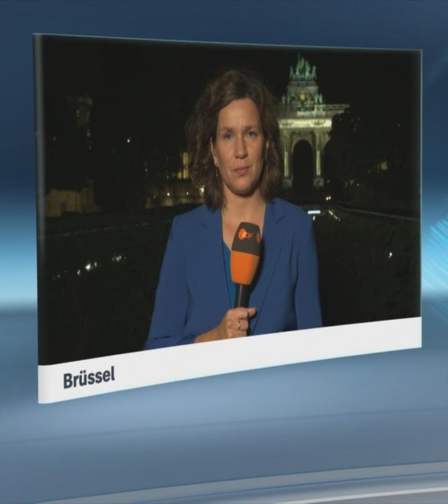 SGS Wiesel-Lance und Schaefers