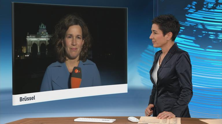 SGS-schaefers-hayali