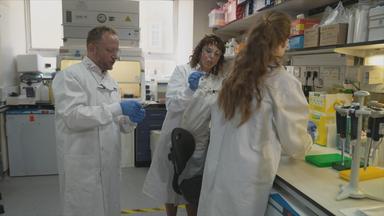 Durchbruch bei Chorea-Huntington-Therapie