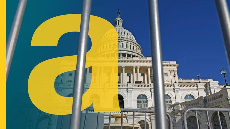 Das Kapitol in Washington, im Vordergrund die Gitterstäbe eines Zauns, die durch das ganze Bild nach oben ragen.