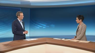 Studiogespräch Neuhann Hayali