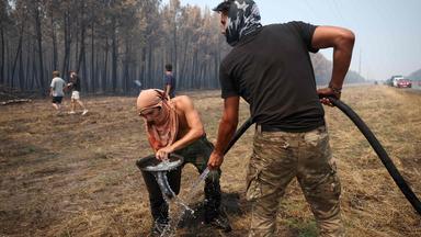 Waldbrand Frankreich 