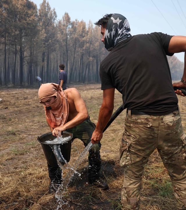 Waldbrand Frankreich 
