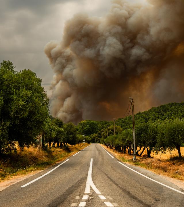 Waldbrand von Gros Bessillon im Departement Var, Frankreich