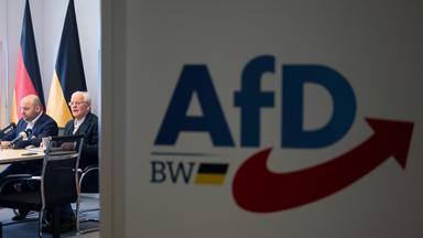 Markus Frohnmaier (l), Spitzenkandidat der AfD für die Landtagswahl in Baden-Württemberg, und Emil Sänze, der Fraktionsvorsitzende der AfD im Landtag von Baden-Württemberg, nehmen an einer Pressekonferenz nach der Landtagswahl in Baden-Württemberg teil.