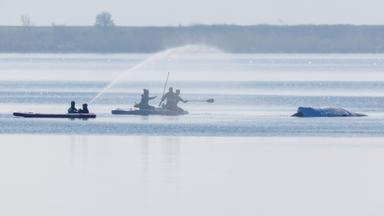 Helfer kümmern sich weiterhin um den gestrandeten Buckelwal in der Ostsee