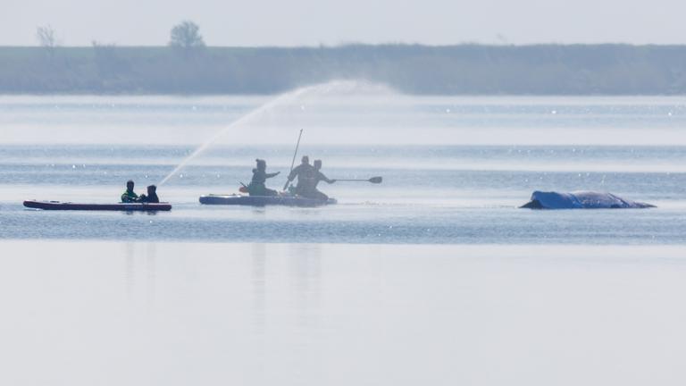 Helfer kümmern sich weiterhin um den gestrandeten Buckelwal in der Ostsee