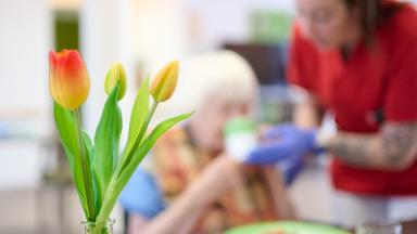 Eine Pflegekraft unterstützt eine Seniorin beim Frühstück im DRK-Pflegezentrum Solferino.