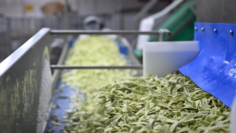 Spinatnudeln liegen auf einer Förderstrecke.