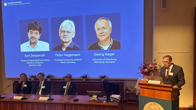 Schweden, Stockholm: Anna Wedell (vorne, l-r), Per Svenningsson, Abdel El Manira und der Sekretär der Nobelversammlung des Stockholmer Karolinska-Instituts, Thomas Perlmann, bei der Bekanntgabe der Nobelpreisträger für Physiologie oder Medizin, Karl Deisseroth, Peter Hegemann, Georg Nagel, die auf einem Display abgebildet sind, im Karolinska-Institut.