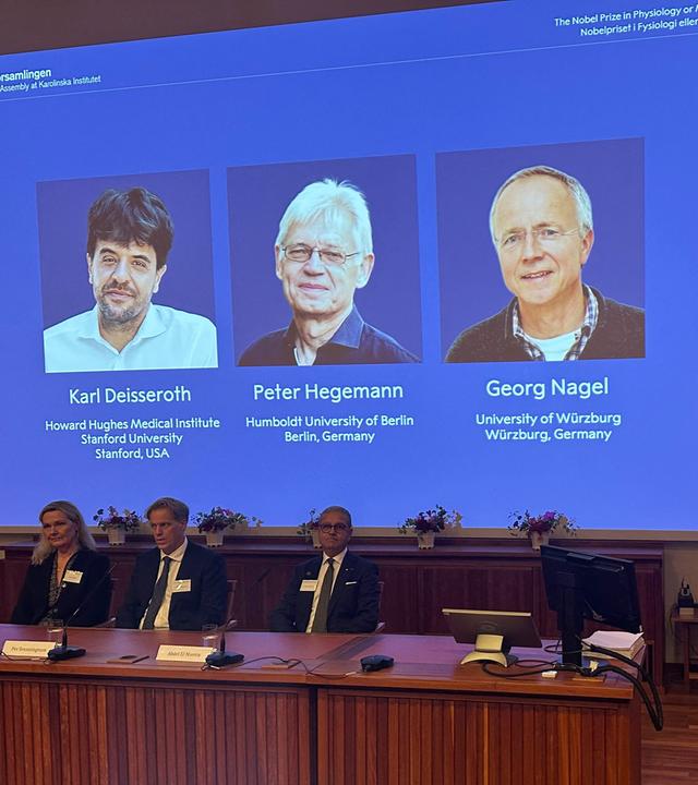 Schweden, Stockholm: Anna Wedell (vorne, l-r), Per Svenningsson, Abdel El Manira und der Sekretär der Nobelversammlung des Stockholmer Karolinska-Instituts, Thomas Perlmann, bei der Bekanntgabe der Nobelpreisträger für Physiologie oder Medizin, Karl Deisseroth, Peter Hegemann, Georg Nagel, die auf einem Display abgebildet sind, im Karolinska-Institut.