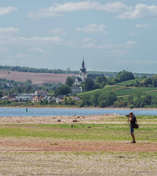 Rheinland-Pfalz, Nierstein: Ein Mann fotografiert bei Niedrigwasser ein Fahrwasserzeichen (Fluss-Boje). Der Rhein ist bei Nierstein aufgrund des Niedrigwassers sehr stark zurückgegangen.