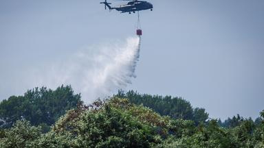 Waldbrand im Müritz-Nationalpark