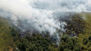 Waldbrand im Hohen Venn