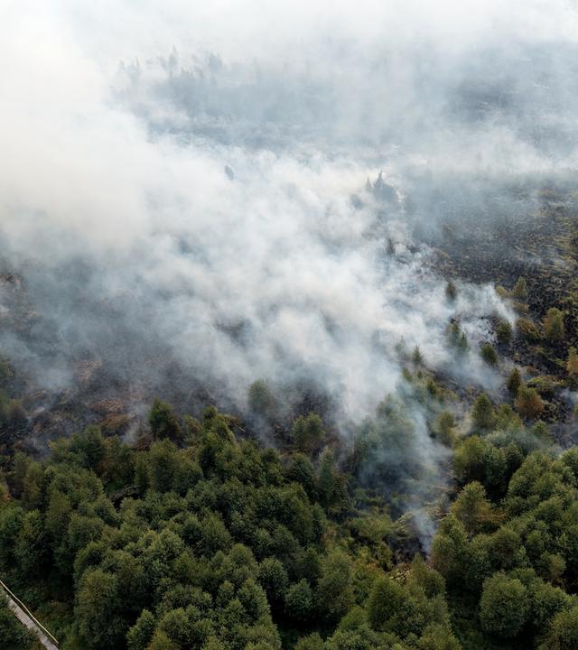 Waldbrand im Hohen Venn