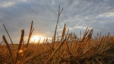 So viele Brände in Europa wie noch nie aber Klimapolitik fehlt