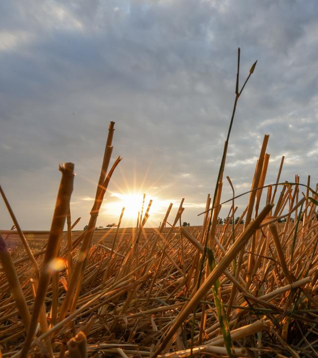 So viele Brände in Europa wie noch nie aber Klimapolitik fehlt