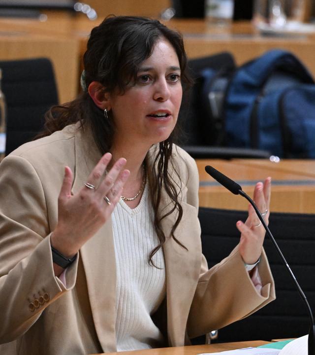 Anhörung zu einem Parteiverbotsverfahren gegen die AfD