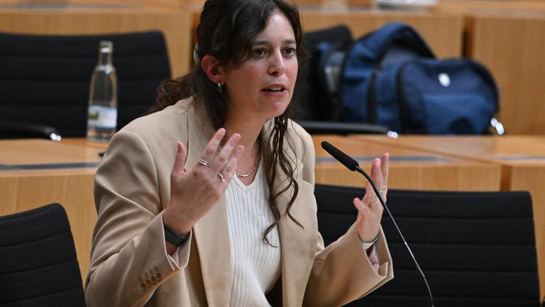 Anhörung zu einem Parteiverbotsverfahren gegen die AfD