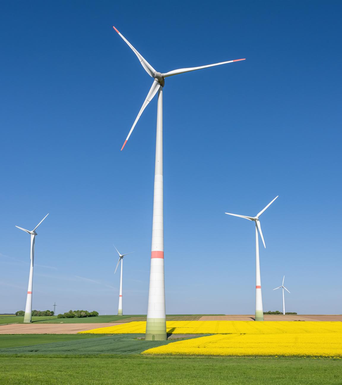 Windkraftanlagen mit blühenden Rapsfeldern in Deutschland