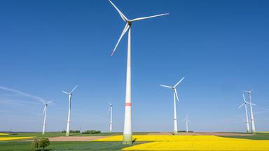 Windkraftanlagen mit blühenden Rapsfeldern in Deutschland