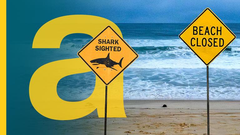 Zwei gelbe Schilder, die an einem Strand stehen: Auf dem einen steht "Shark Sighted" mit einem Hai-Symbol, auf dem anderen steht "Beach Closed".