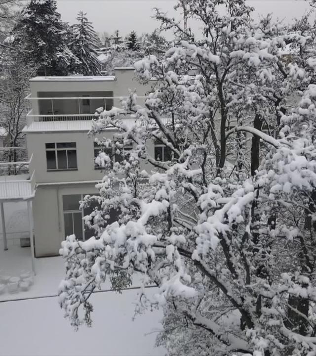 Beitrag Villa Beer Wien