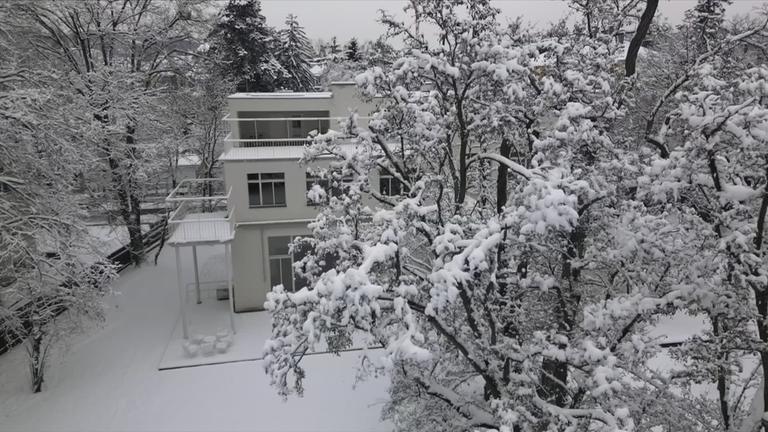 Beitrag Villa Beer Wien