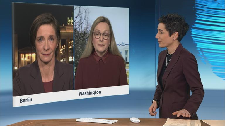 SGS-Zimmermann-Hayali